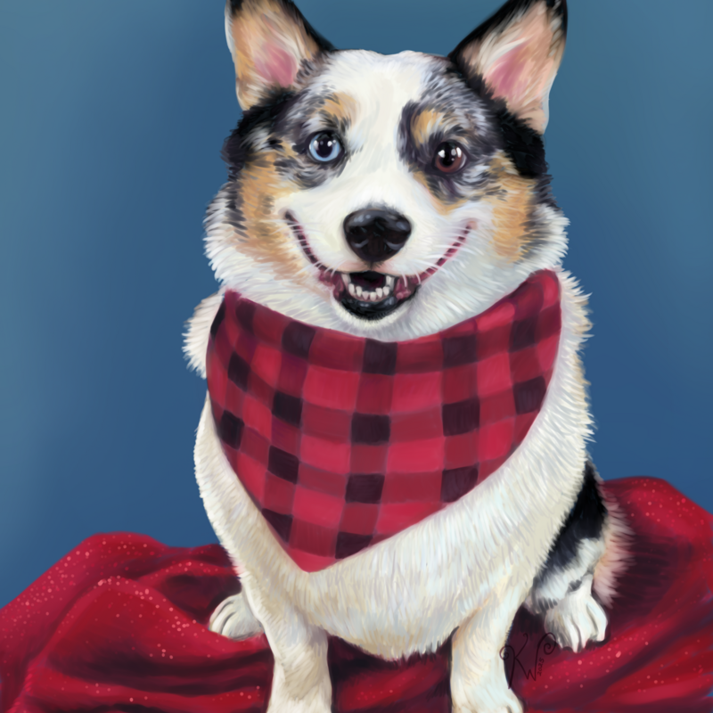 2025/02 Memorial portrait of a dog named Pippin