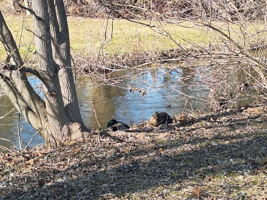 Changing Seasons and&nbsp;Inspiration