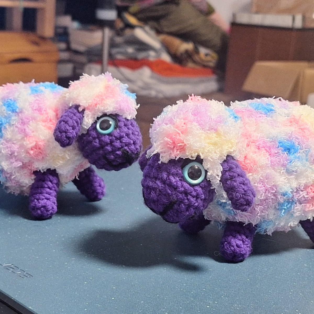 Fluffy Sheep